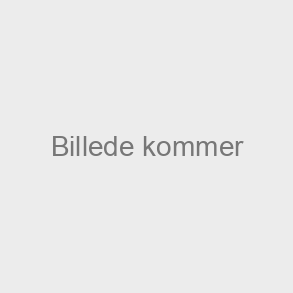 Blandeventil for konstant temperatur 1 1/4